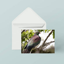 Greeting Cards: Set One Native birdlife