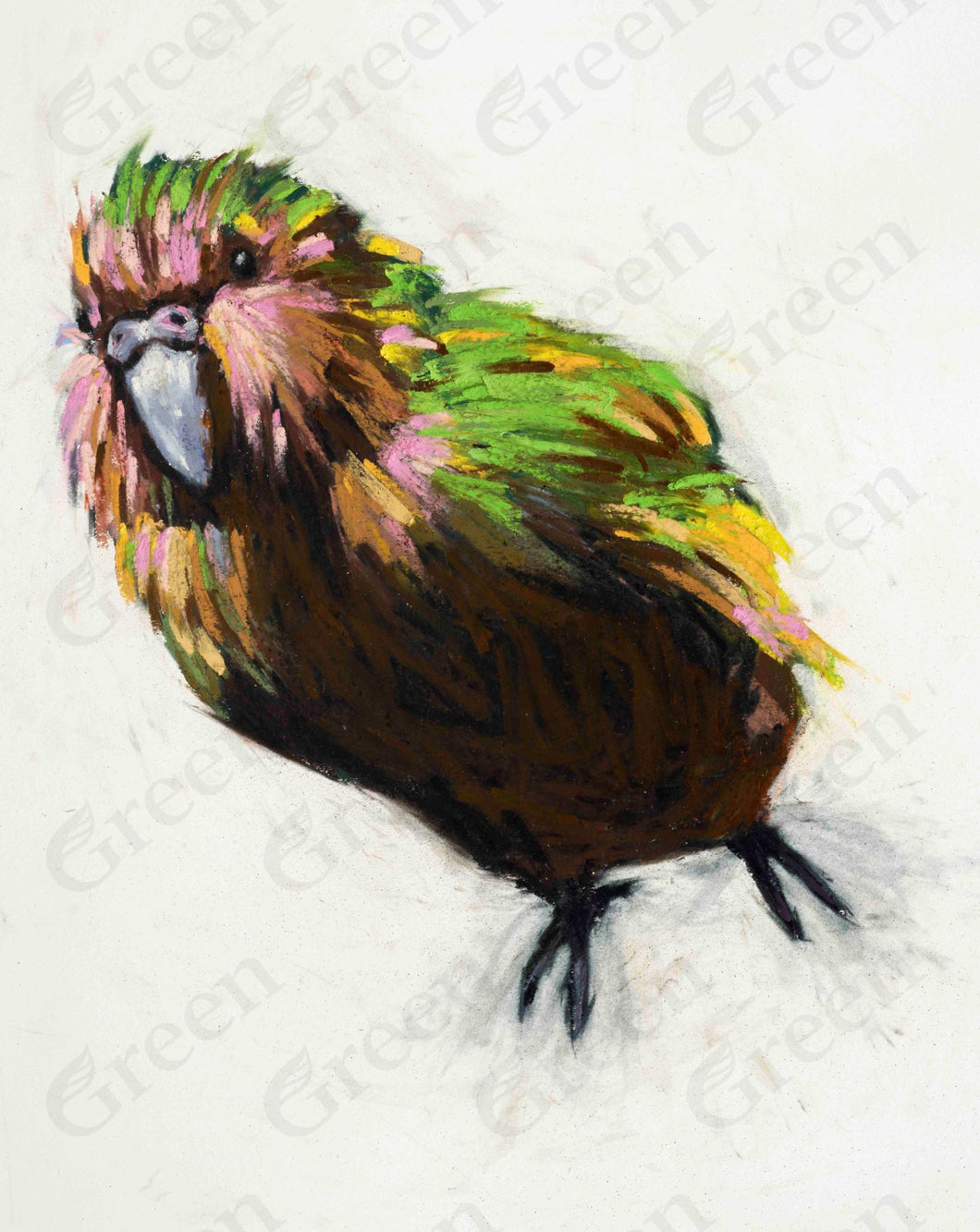 Kākāpō - Peter Force (A2) - The Bigger Picture