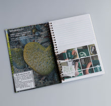 Rebound Journals