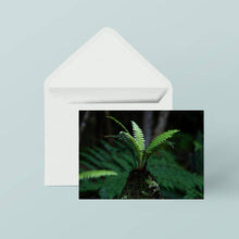 Greeting Cards: Set Three In the wild