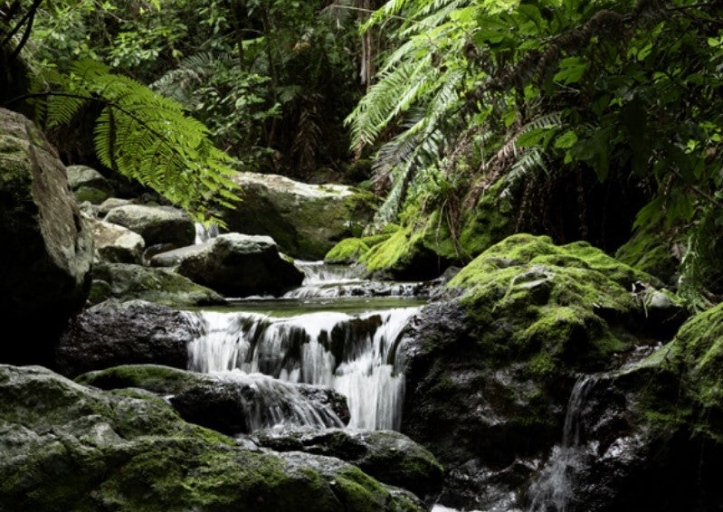 Greeting Cards: Scapes - land, sea and sky