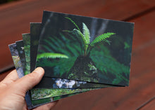 Greeting Cards: Set Three In the wild