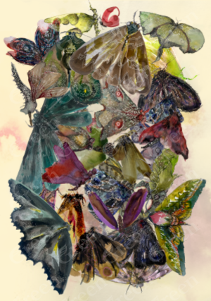 Mothra by Kirsten Smith (A2) - The Bigger Picture