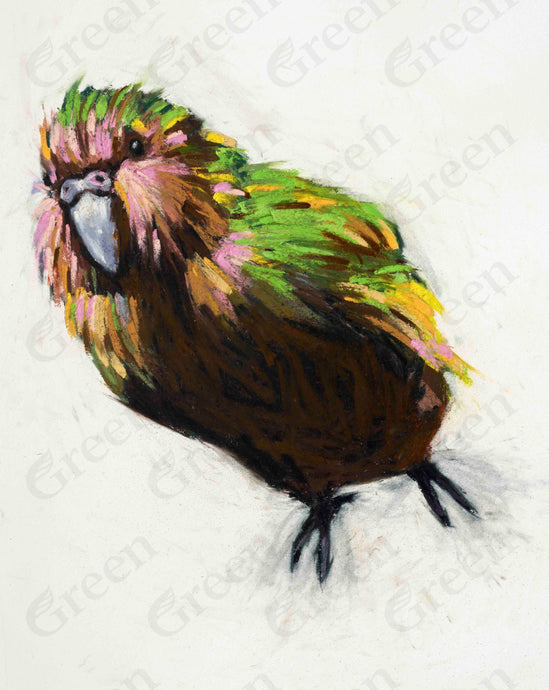 Kākāpō - Peter Force (A2) - The Bigger Picture