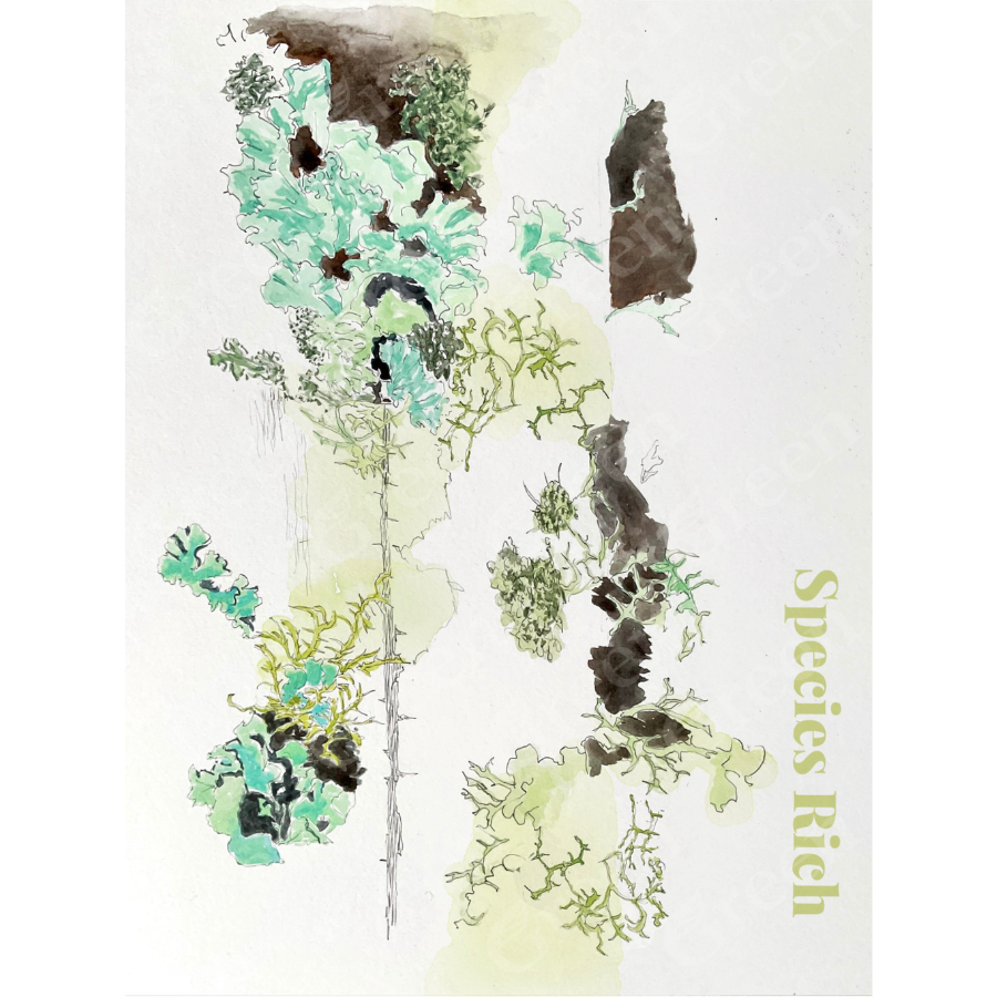 Species Rich ll - Nada Stanish