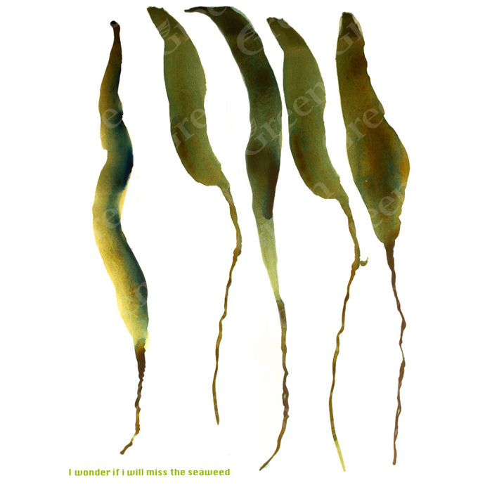Will I miss the seaweed - Kirstin Anderson