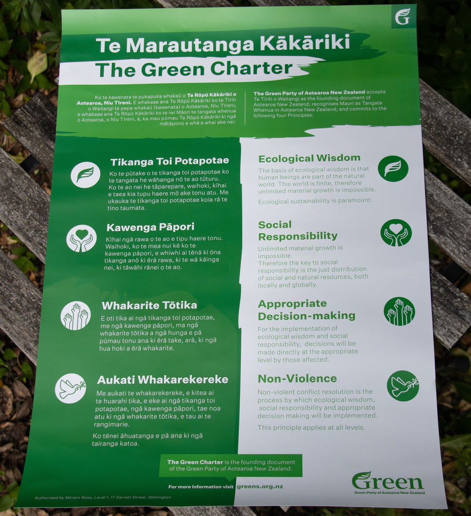 Green Party Charter Poster - Discount