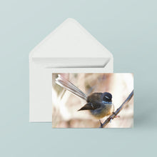 Greeting Cards: Set Two Birds