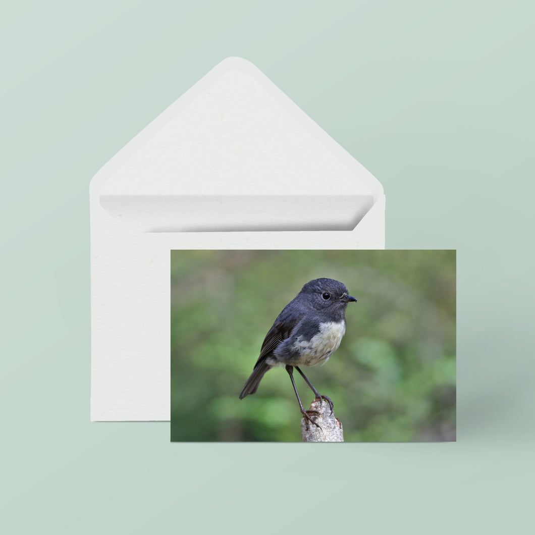 Greeting Cards: Set One Birds